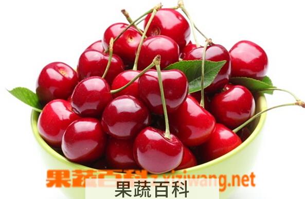 果蔬百科樱桃