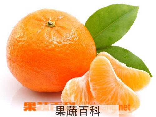 果蔬百科橘子的营养价值与功效