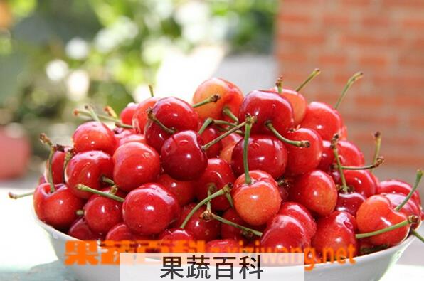 果蔬百科孕妇可以吃樱桃吗
