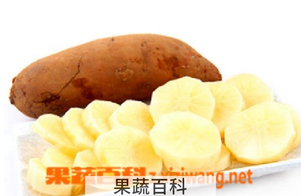 果蔬百科雪莲果怎么做好吃