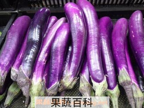紫长茄的营养价值与功效