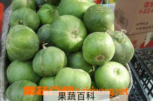 果蔬百科绿香瓜的作用