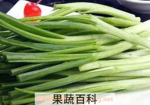 小葱的功效与作用