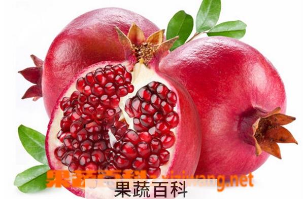 果蔬百科石榴