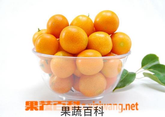 果蔬百科金桔的功效与作用及食用方法