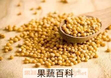 白芥菜籽的功效与作用