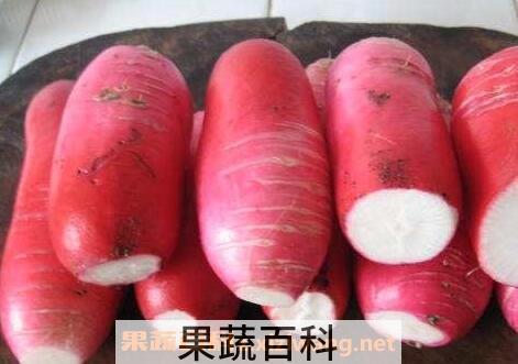 红皮萝卜怎么腌制好吃