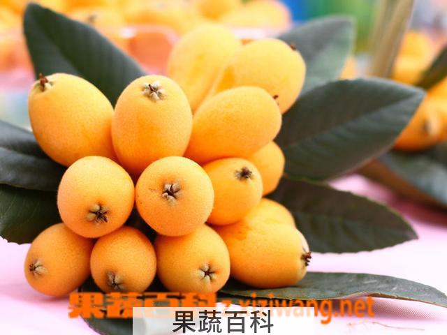 果蔬百科枇杷的营养价值及吃法