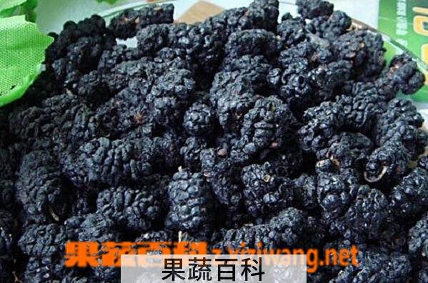 果蔬百科桑葚干怎么吃