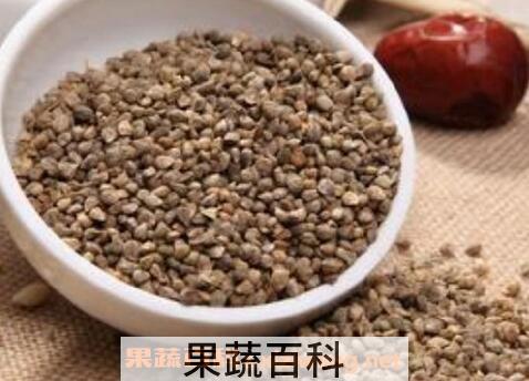菠菜籽的功效与作用及禁忌