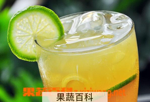 果蔬百科柠檬片泡蜂蜜