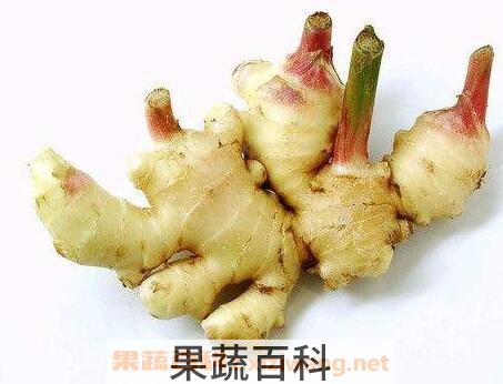 吃生姜的好处与坏处及注意的问题