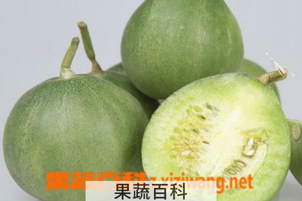 果蔬百科绿宝石香瓜
