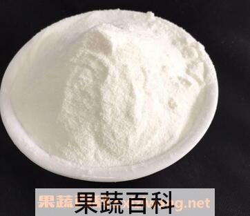 玉米肽的功效与作用