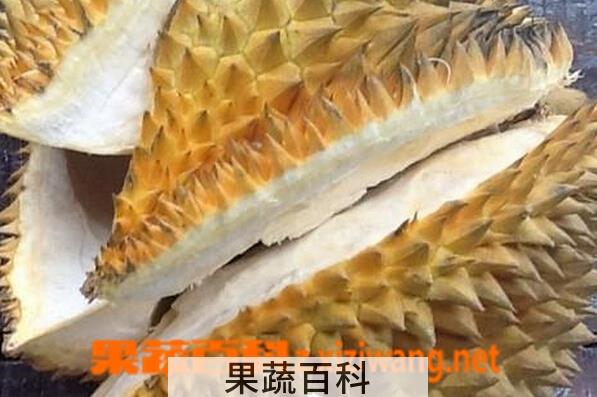 果蔬百科榴莲壳