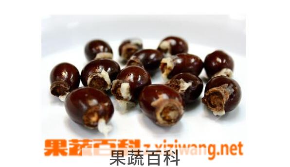 果蔬百科荔枝核的功效与作用
