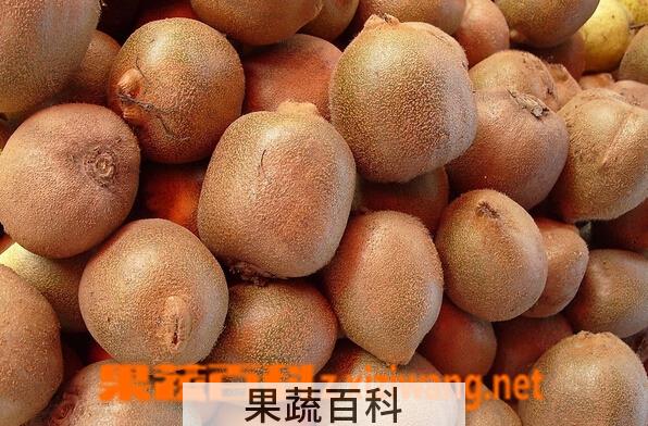 果蔬百科冬天猕猴桃怎样放才能变软