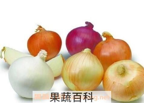 紫洋葱和白洋葱哪个营养价值高