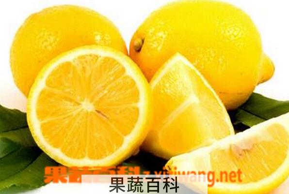果蔬百科柠檬水