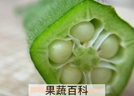 野秋葵籽的功效与作用及禁忌
