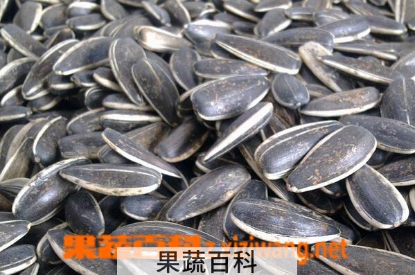果蔬百科制作五香瓜子