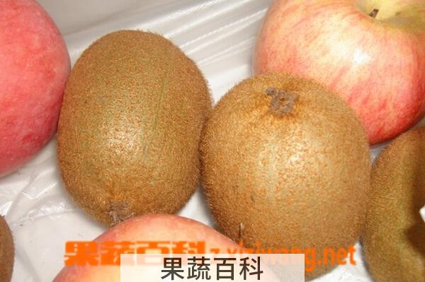 果蔬百科猕猴桃很硬怎么催熟