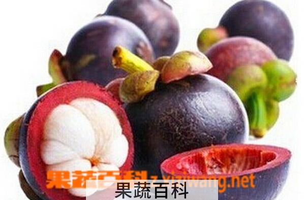 果蔬百科山竹