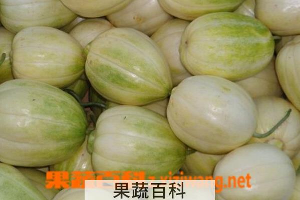 果蔬百科香瓜对人体的好处