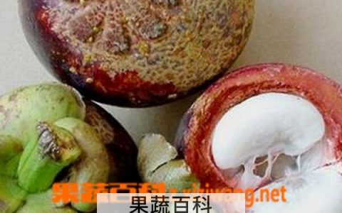 山竹的保存方法 山竹的保存时间