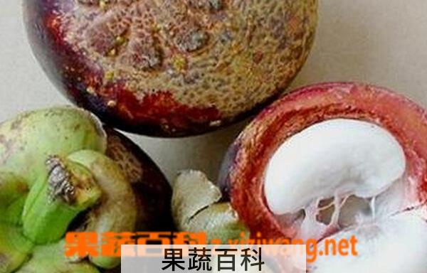 果蔬百科山竹的保存方法