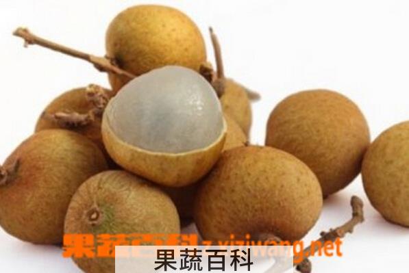 果蔬百科夏天怎么吃桂圆不上火