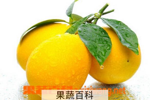 果蔬百科柠檬不能和什么一起吃