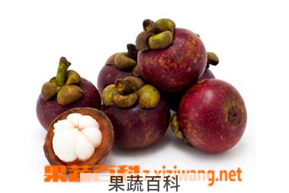 果蔬百科山竹不能和什么一起吃