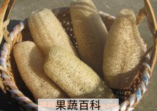 水瓜壳的功效与作用