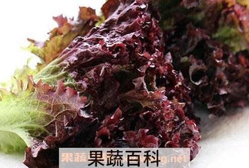 紫莴笋营养价值