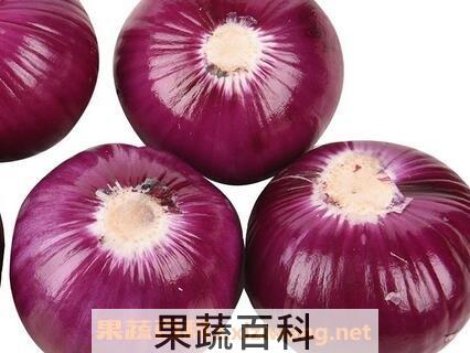 紫洋葱和黄洋葱的区别