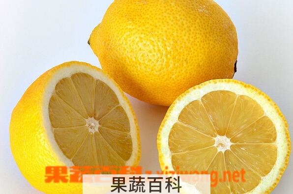 果蔬百科鲜柠檬片泡水减肥法