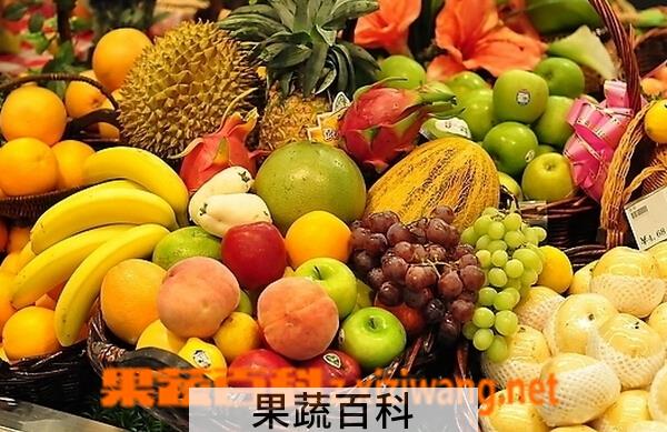 果蔬百科水果为什么会变质
