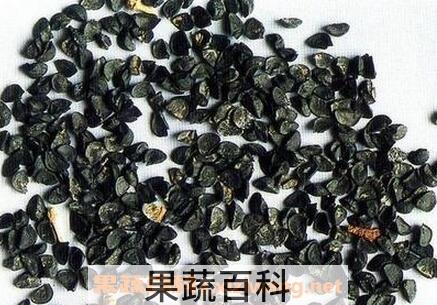 白葱籽的功效与作用及禁忌