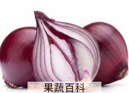 紫葱头芯的功效与作用