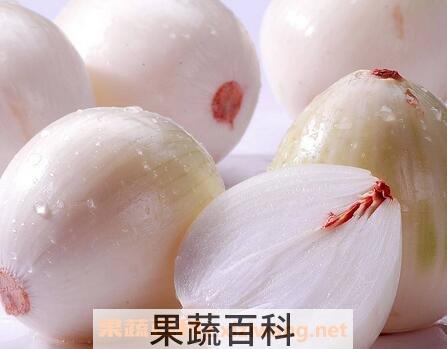 紫葱头和白葱头的区别