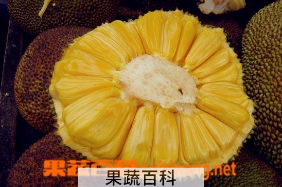 果蔬百科木菠萝的营养价值