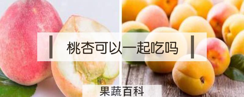 桃杏可以一起吃吗