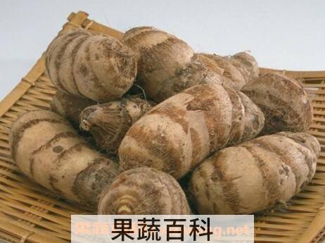 芋艿的功效与作用及禁忌