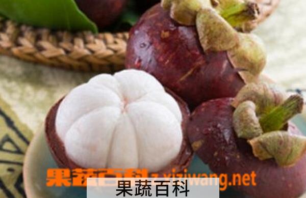 果蔬百科山竹的食用与保存方法