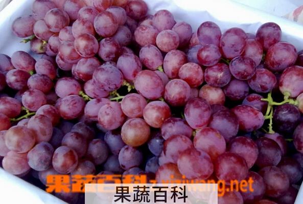 果蔬百科吃红提的好处和坏处