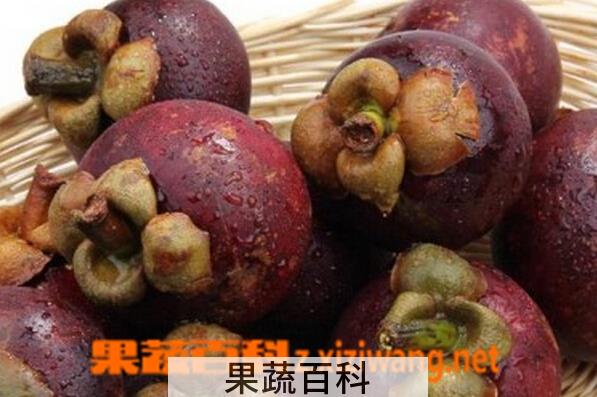果蔬百科山竹的皮有什么益处