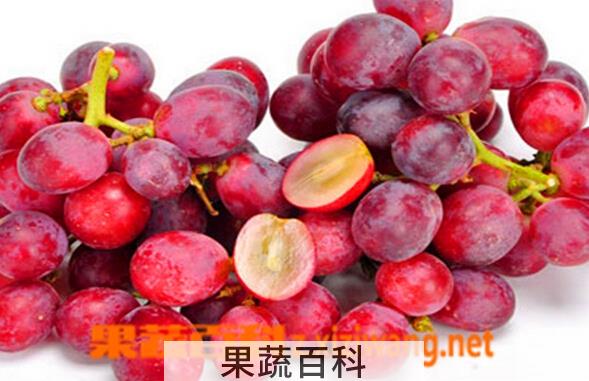 果蔬百科红提皮