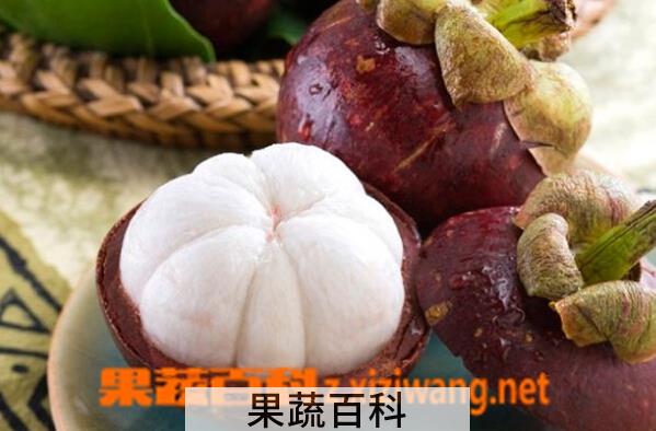 果蔬百科如何辨别山竹的好坏