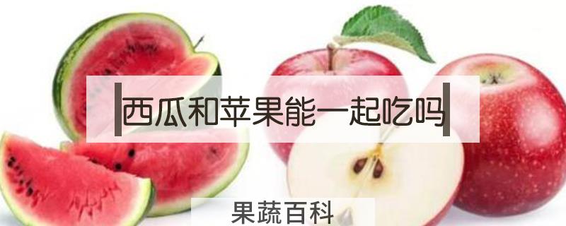 西瓜和苹果能一起吃吗